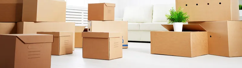 Information für Immobilieneigentümer &amp; -verwalter